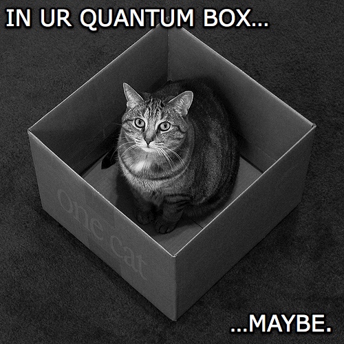 Photo of a cat in a box with the caption "In UR quantum box... maybe."