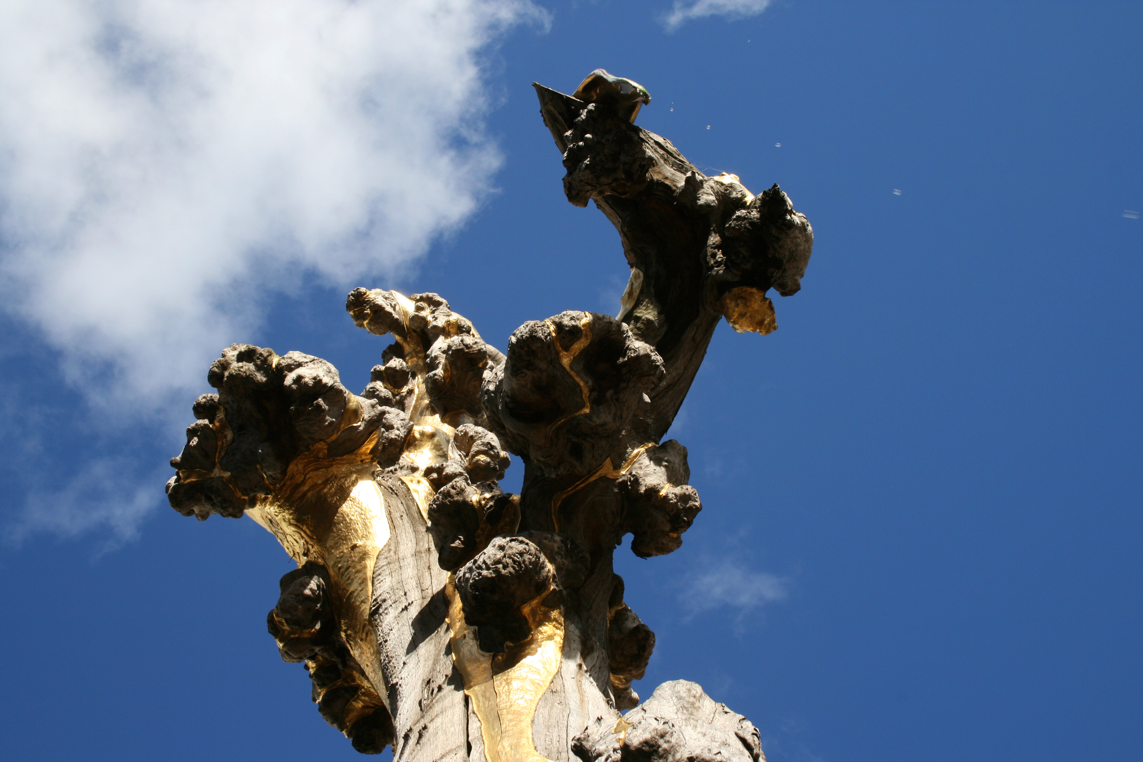 A photo of a dead tree from Chinatown Haymarket in Sydney. This is the 2 billionth photo posted on flickr.